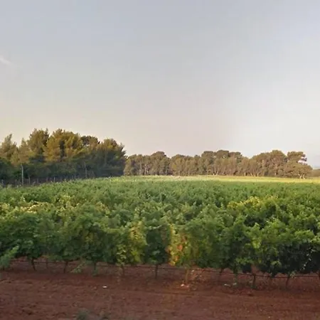 Climatise Avec Terrasse Et Parking - 4 Couchages - - Fr-1-251-518 Apartman *