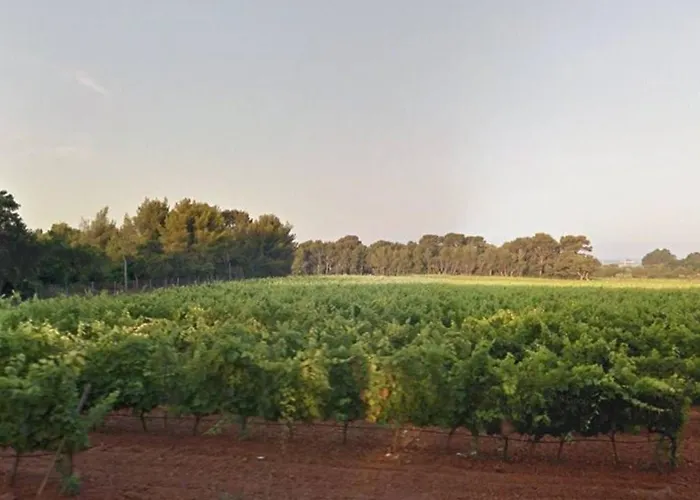 Climatise Avec Terrasse Et Parking - 4 Couchages - - Fr-1-251-518 Апартаменти *