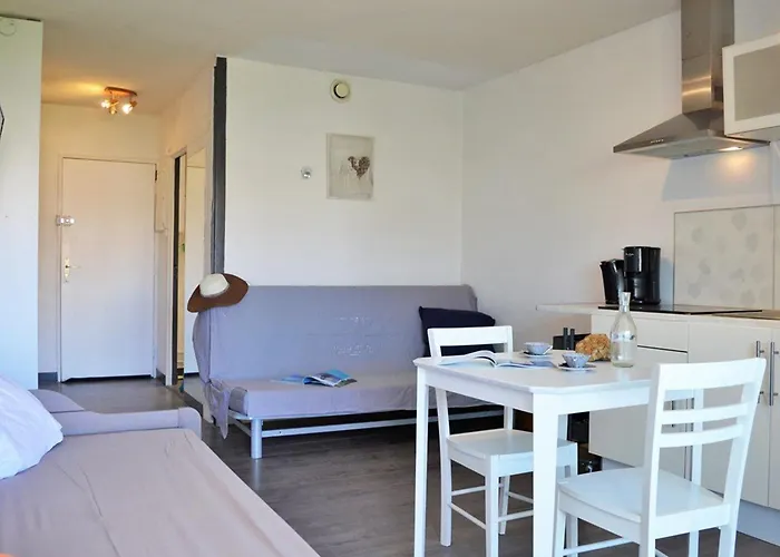 Apartman Climatise Avec Terrasse Et Parking - 4 Couchages - - Fr-1-251-518 Le Lavandou