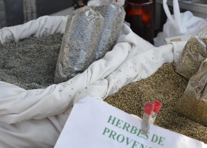 Climatise Avec Terrasse Et Parking - 4 Couchages - - Fr-1-251-518 Le Lavandou